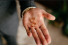 Tendencias alianzas de boda 2025